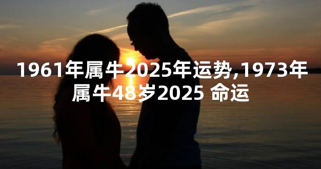 1961年属牛2025年运势,1973年属牛48岁2025 命运